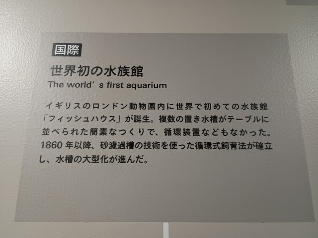 アオアオサッポロ 感想