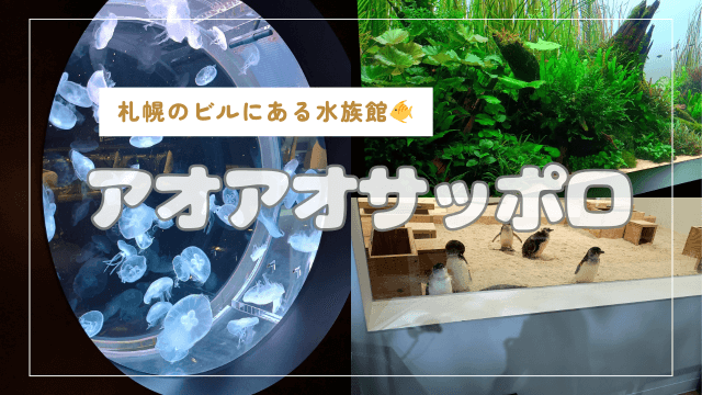 アオアオサッポロ 感想
